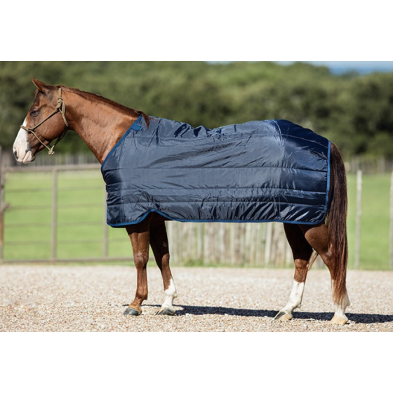 Doublure Amovible Cheval 200g - Horseware