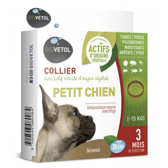 Collier anti insectes - petit chien